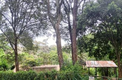 Mushrooms Garden 3.8 Acres, Kiambu Road