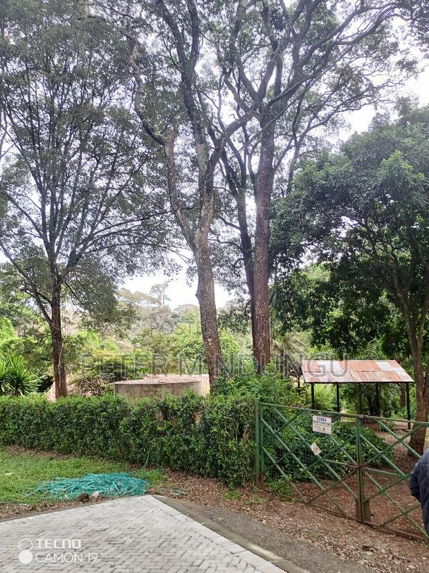 Mushrooms Garden 3.8 Acres, Kiambu Road
