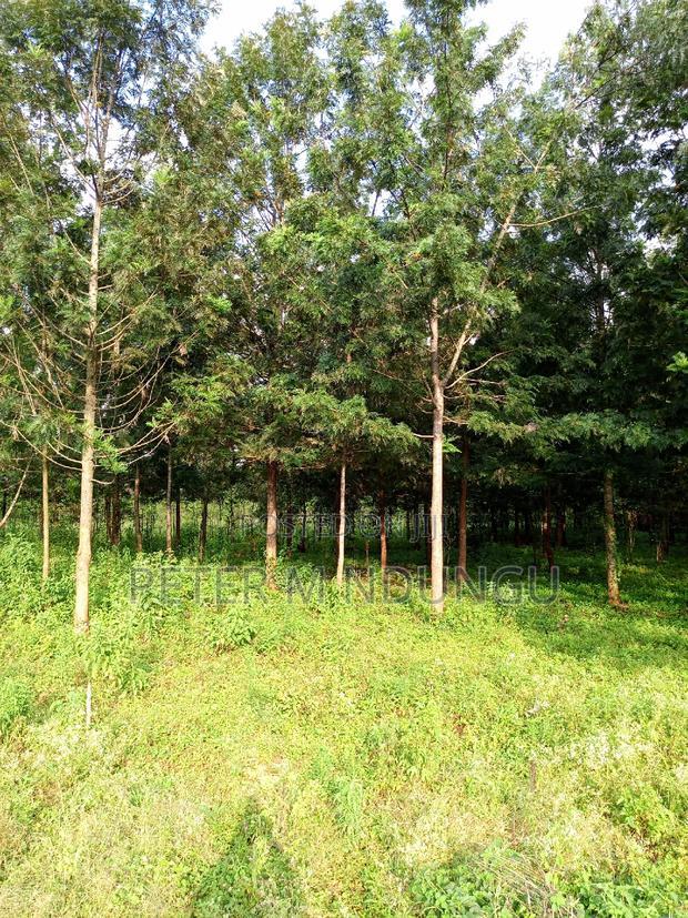 Prime 5 Acres to Let Touching Kiambu Road