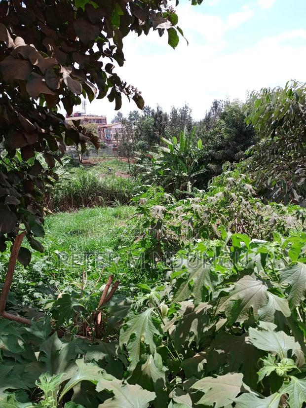 Kiamumbi Pime 100*100, Title