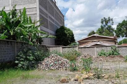Prime Residential Plot , 1/2 Acre, Second Row, Thome