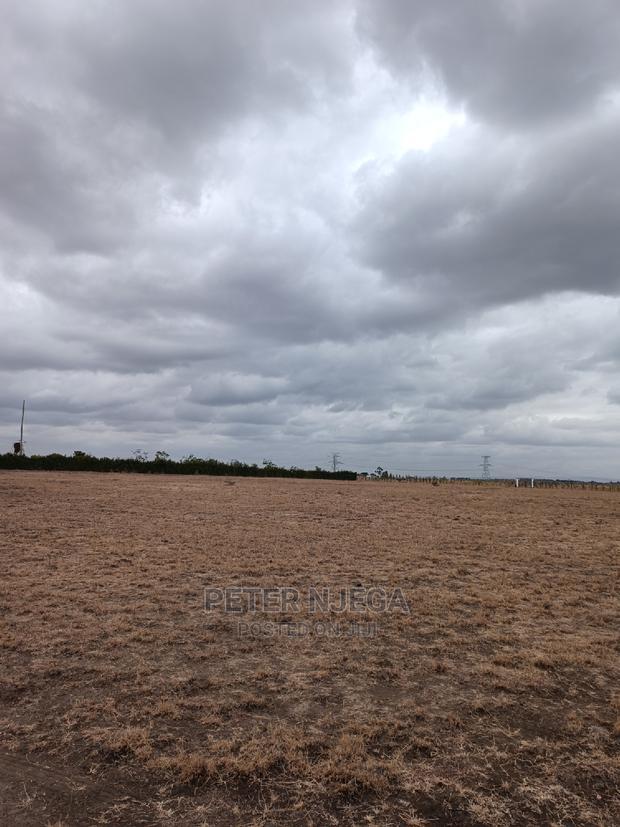50x100 Plots in Kitengela Acacia Nkasiri Adventure Pak at