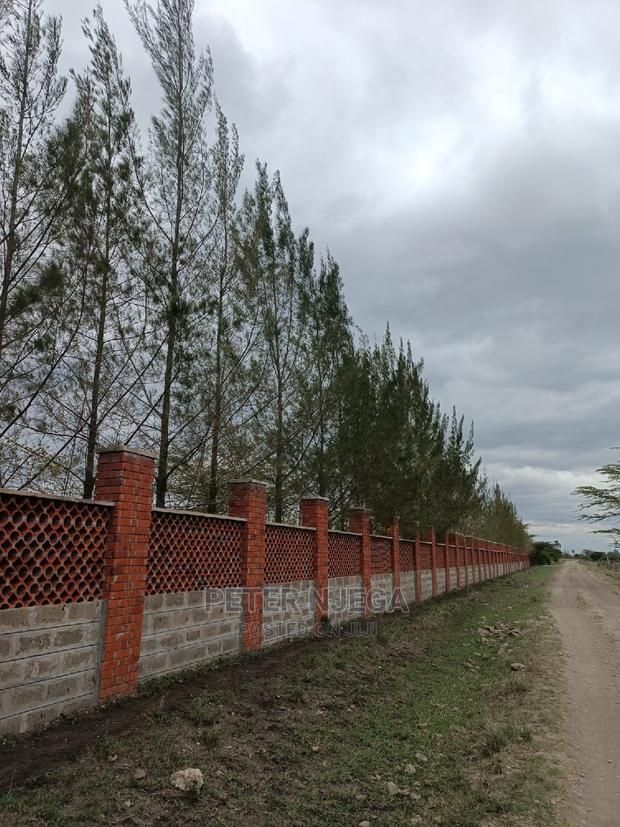 3 Acres in Freds Ranch Area