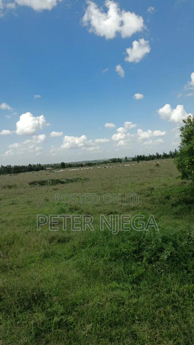 1/2 An Acre For Sale In Kisaju Kitengela