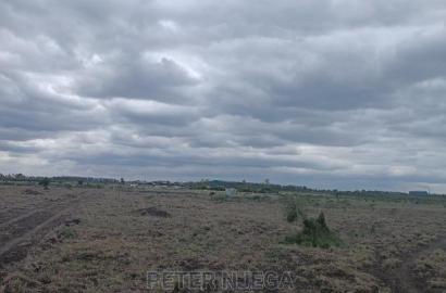 3 Acres in Freds Ranch Area