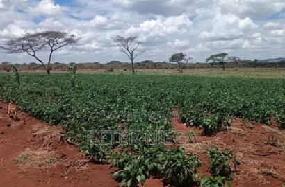42 Acres Block Eselenkei Mashuru Kajiado for Sale
