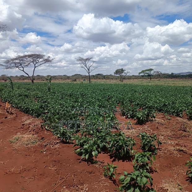 42 Acres Block Eselenkei Mashuru Kajiado for Sale