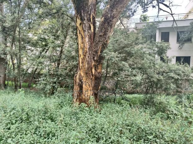 2.2 Acres in Lavington Nairobi