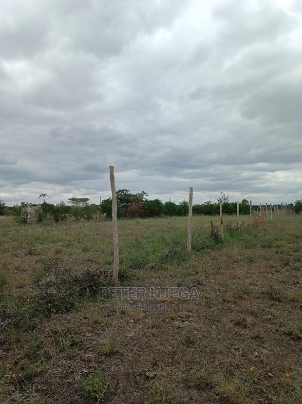 3 Acres in Freds Ranch Area