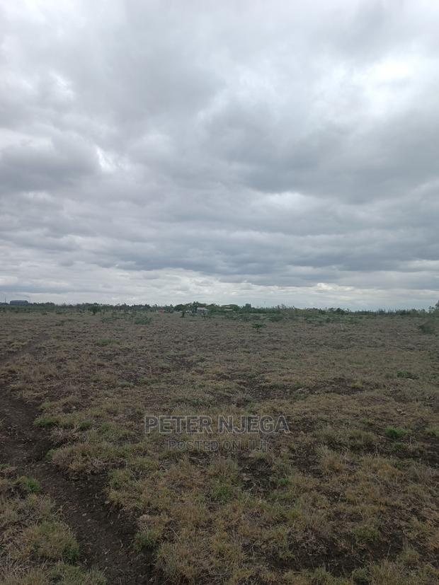 3 Acres in Freds Ranch Area