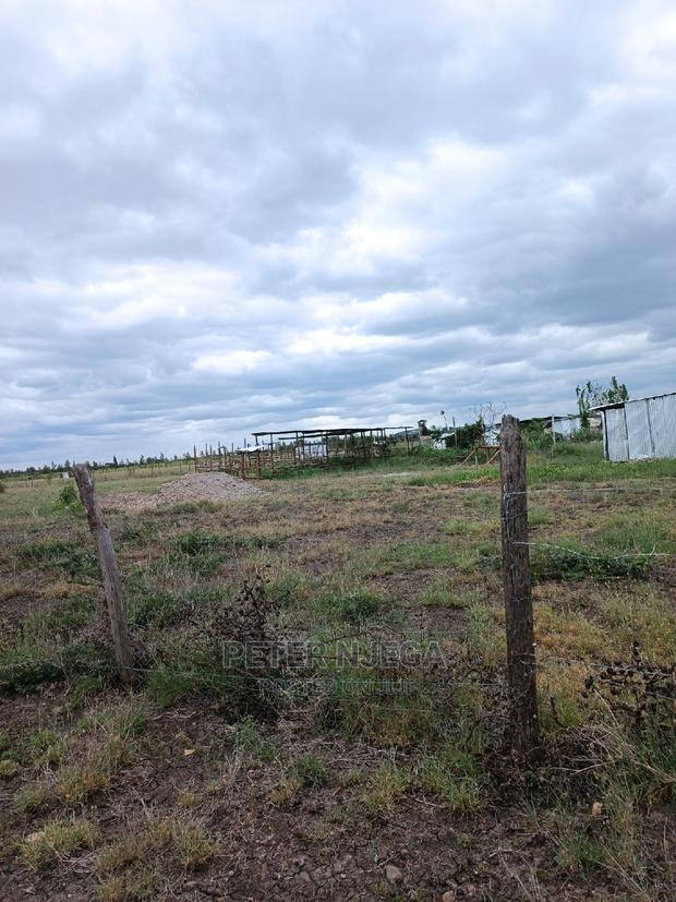 3 Acres in Freds Ranch Area