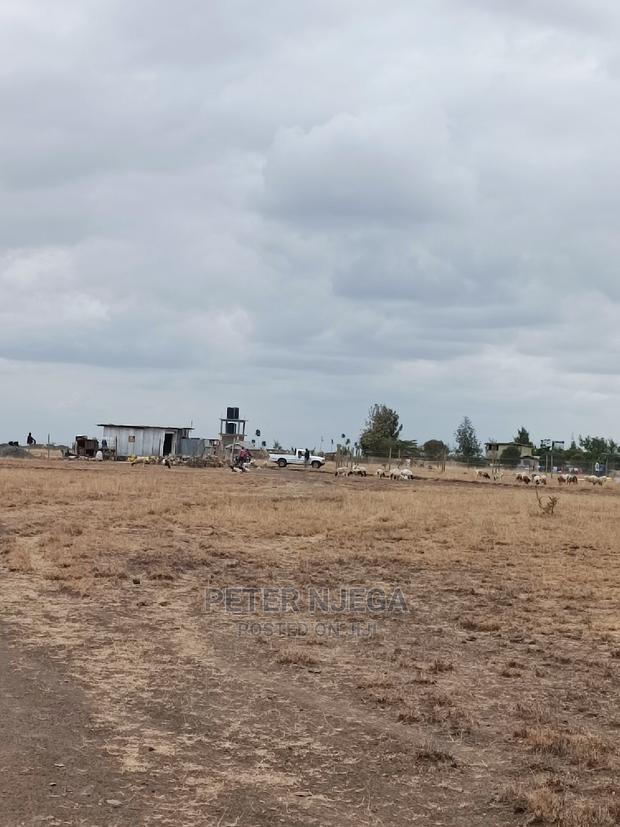 50x100 Plots in Kitengela Acacia Nkasiri Adventure Pak at