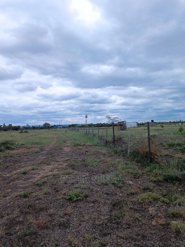 3 Acres in Freds Ranch Area