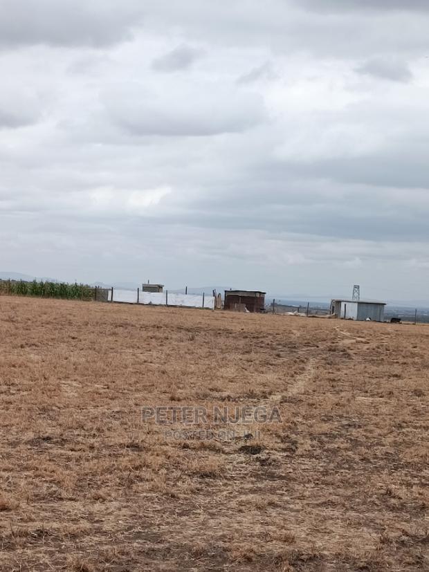 50x100 Plots in Kitengela Acacia Nkasiri Adventure Pak at