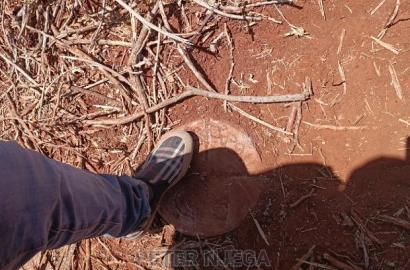 42 Acres in Eselenkei Kajiado at 11m the Whole Block