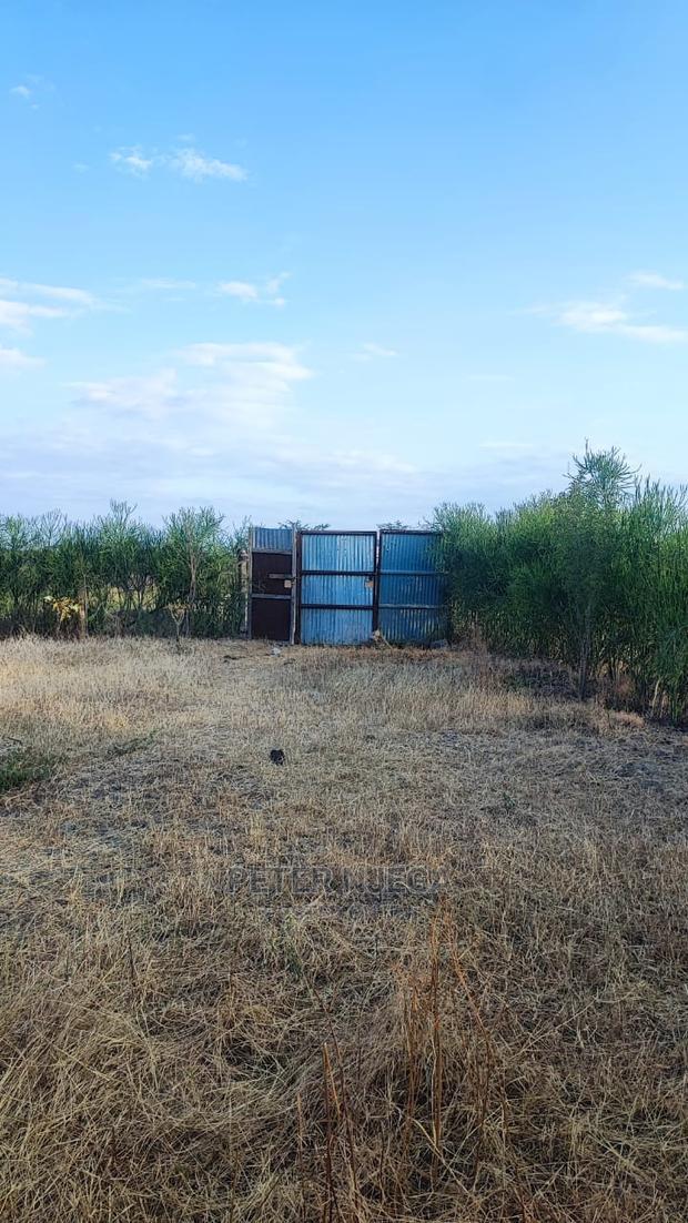 50x100 Plot in Noonkopir Kitengela at 1.2m