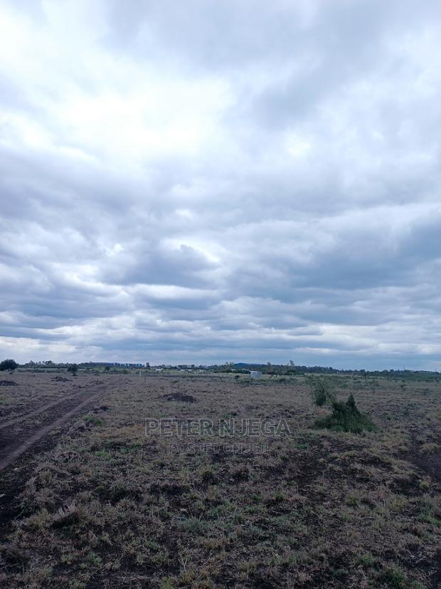 3 Acres in Freds Ranch Area