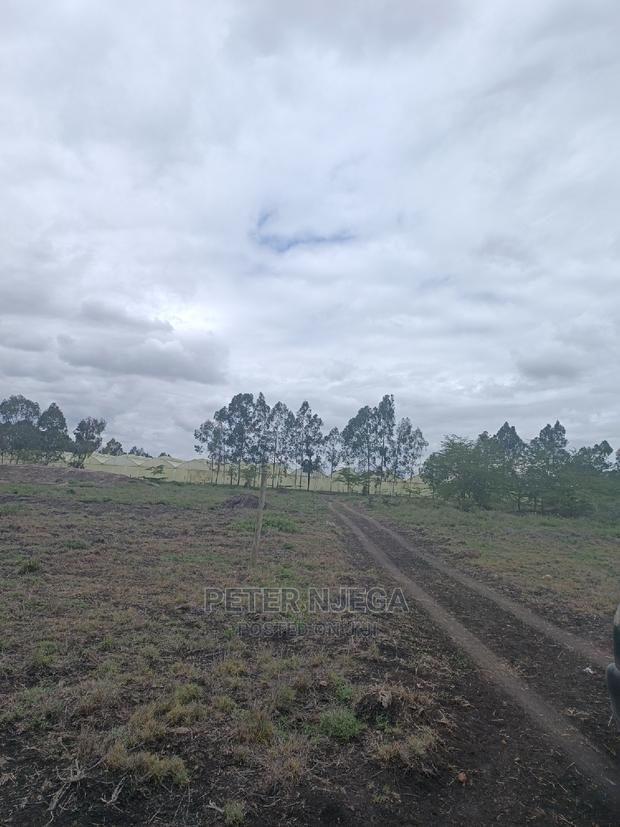3 Acres in Freds Ranch Area