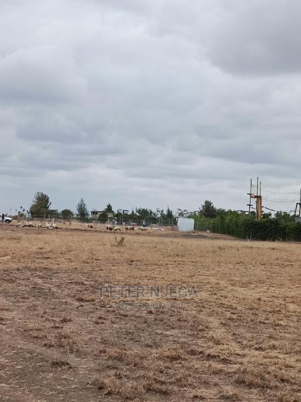 50x100 Plots in Kitengela Acacia Nkasiri Adventure Pak at