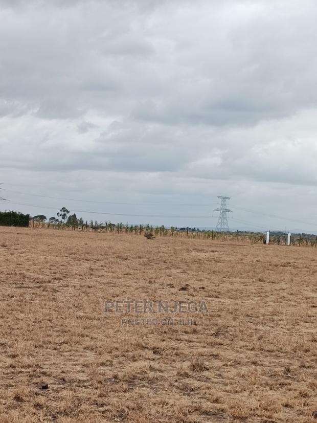 50x100 Plots in Kitengela Acacia Nkasiri Adventure Pak at