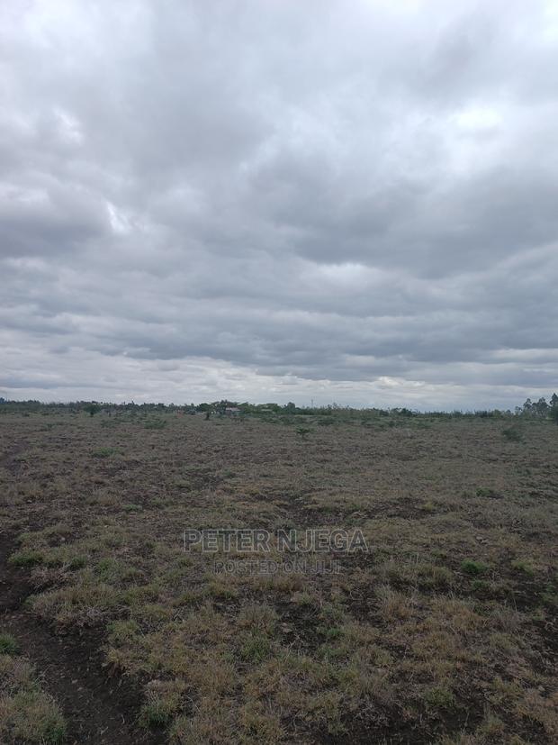 3 Acres in Freds Ranch Area
