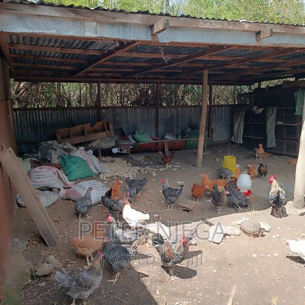 5 Acres Plus 7 Bedroom Maisonette in Kitengela Milimani