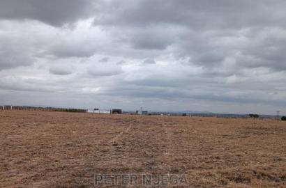 50x100 Plots in Kitengela Acacia Nkasiri Adventure Pak at