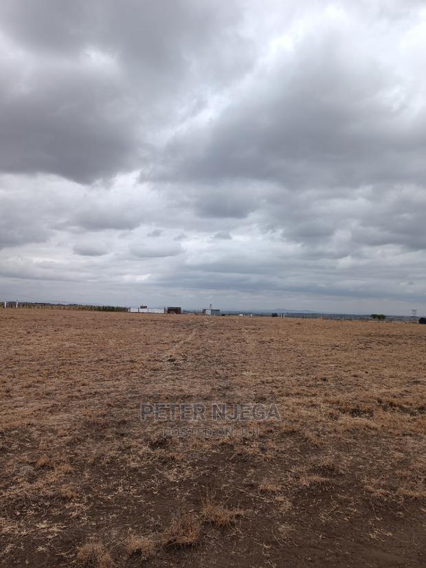 50x100 Plots in Kitengela Acacia Nkasiri Adventure Pak at