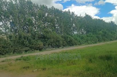 50 Acres Block
