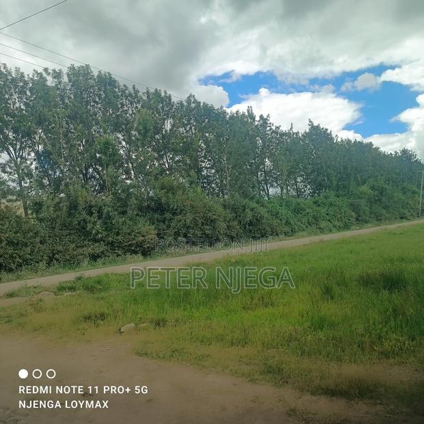 50 Acres Block