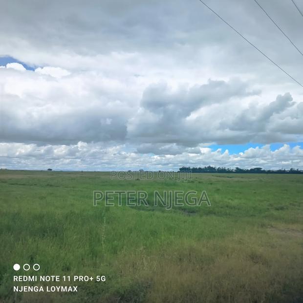 50 Acres Block
