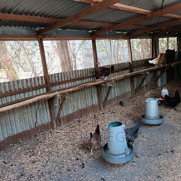 5 Acres Plus 7 Bedroom Maisonette in Kitengela Milimani
