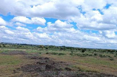 50x100 Plots in Kitengela Saitoti Area for Sale