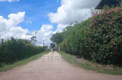 1/4 an in Korompoi Kitengela