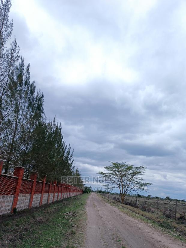 3 Acres in Freds Ranch Area