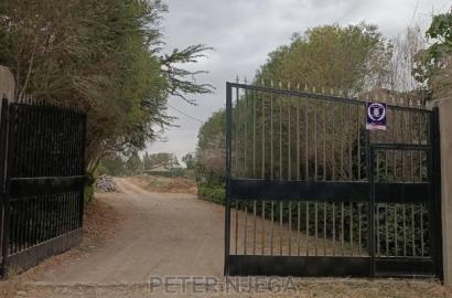100x100 Plot in Milimani Kitengela for Sale