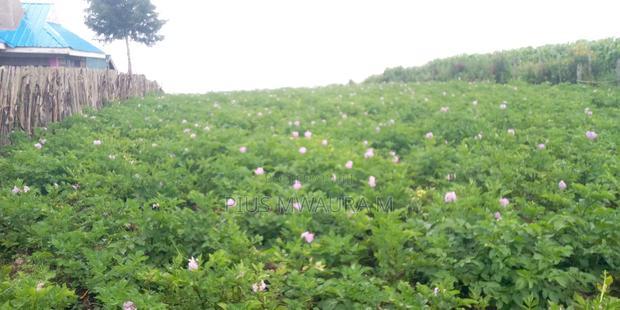 1acre Land at Nyandarua Milangine at 1.6m Red Soil Fertile Farm