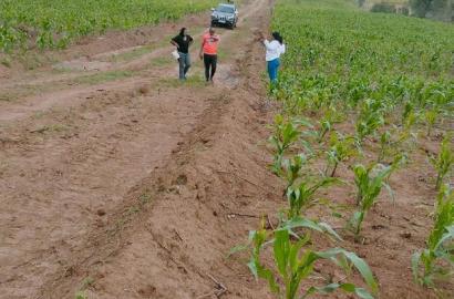 Plots 300m From Tarmac
