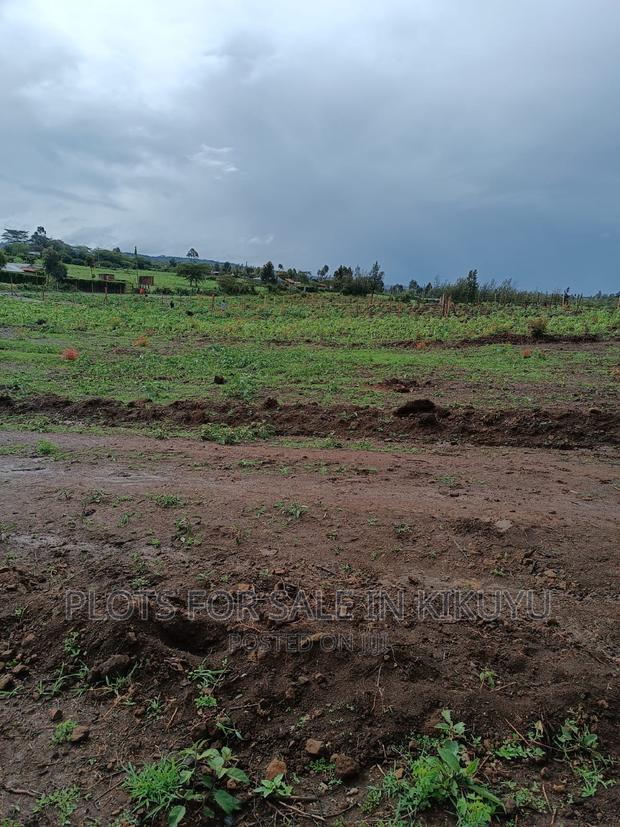 Plots Within Kikuyu
