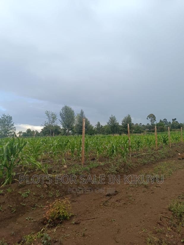 Prime Plots For Sale In Kikuyu!!