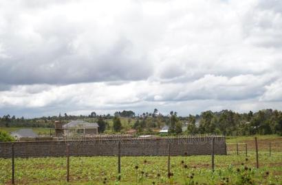Kikuyu Prime Plots