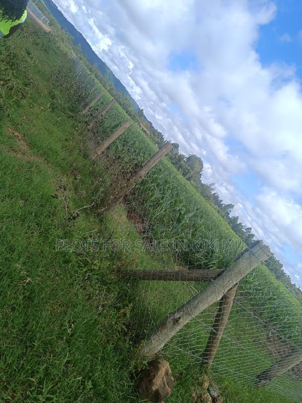 1/8th Acre Plots