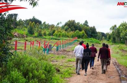 Plots for Sale in Kamangu