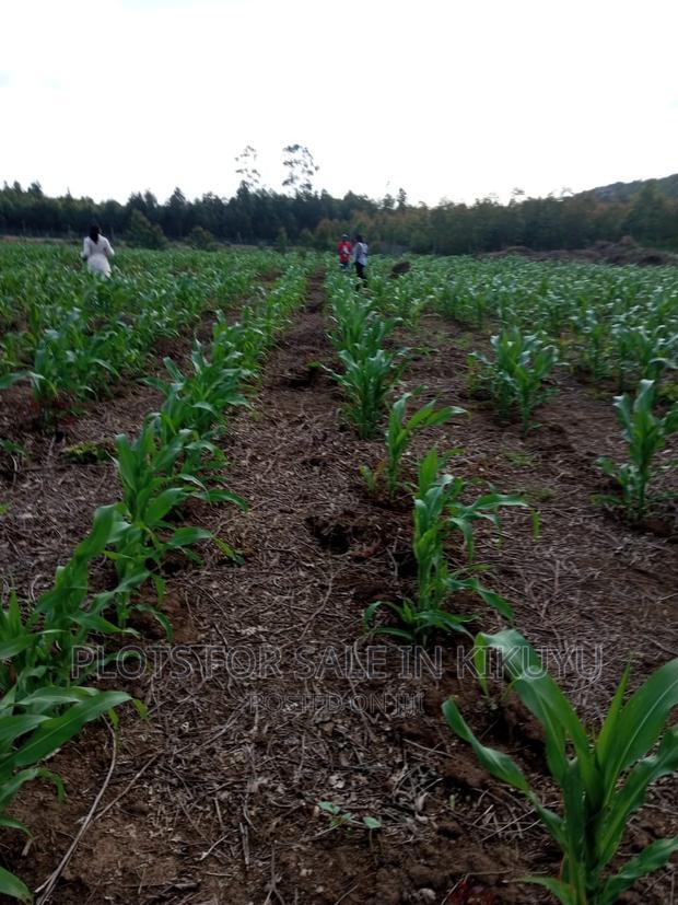 Buy and Build on Precious Gardens