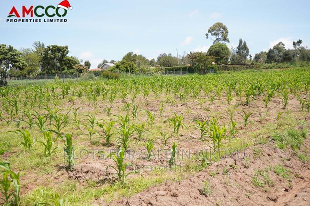 Buy and Build on Precious Gardens