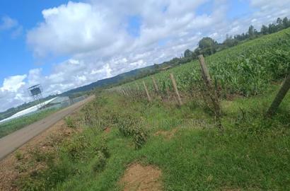 1/8th Acre Plots