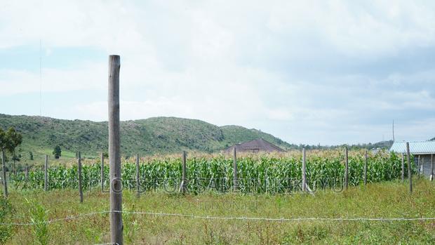 Kikuyu Residential Plots for Sale. Affordable Kikuyu Plots