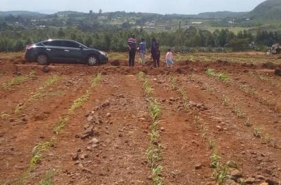 Kikuyu Affordable Plots. For as Low as
