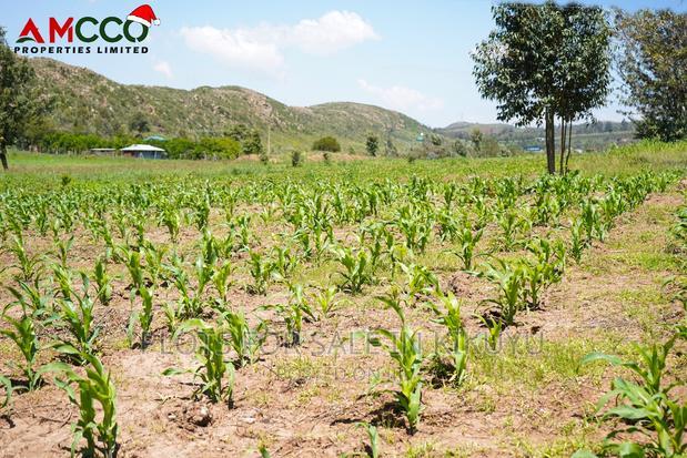 Buy and Build on Precious Gardens