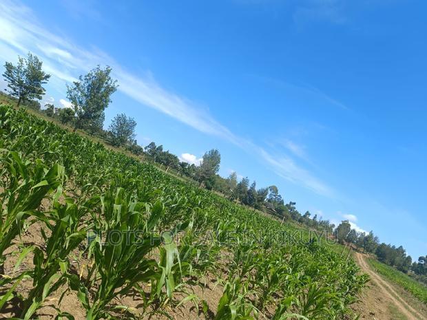 Plots 300m From Tarmac